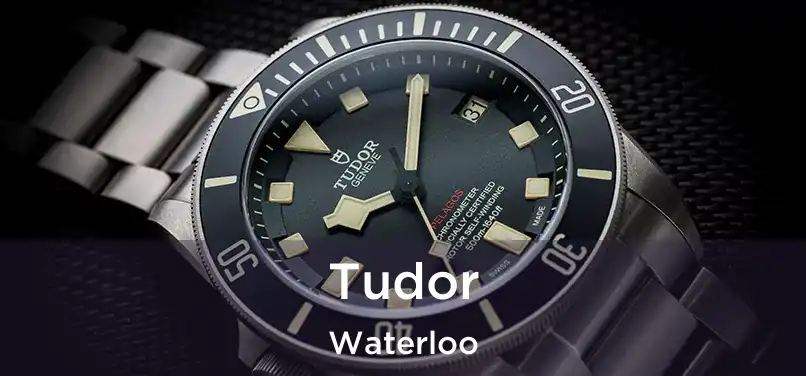  Tudor Waterloo